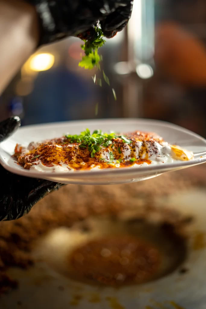 yoğurtlu tantuni (1)